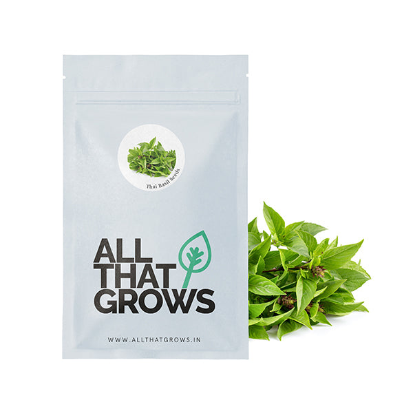 Shop Thai Basil Seeds Online Exotic Herb Seeds To Grow