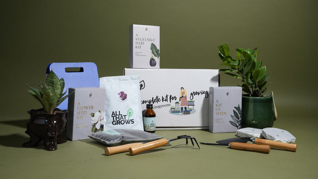 20 Eco-Friendly, Sustainable Gift Ideas That Won't Break the Bank