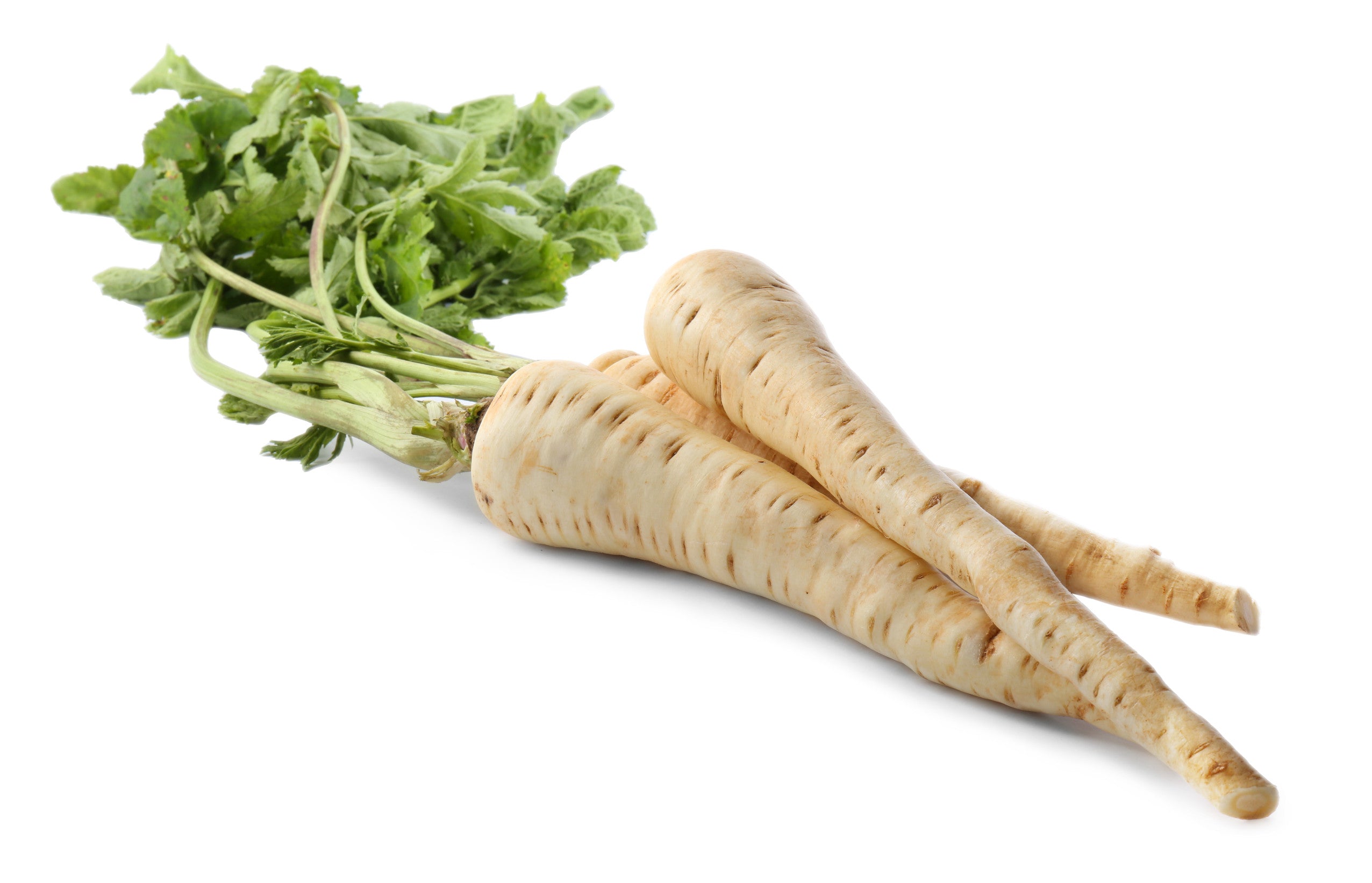 Parsnip Seeds