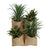 Acornspray - 4 Pocket Jute Wall Planter