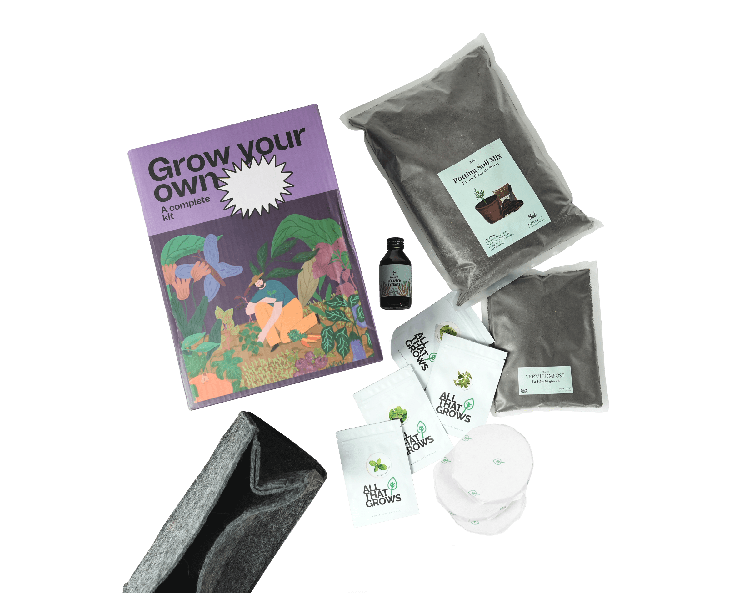 Chervil Growing Kit