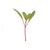 Beet Root Microgreen Seeds