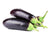 Brinjal Long