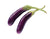 Brinjal Purple Long