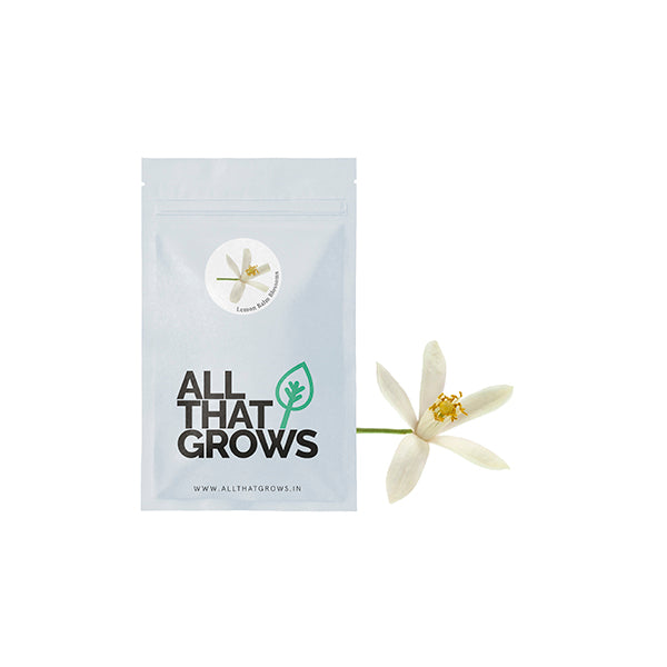 Lemon Balm Blossom Seeds | Shop Online At AllThatGrows