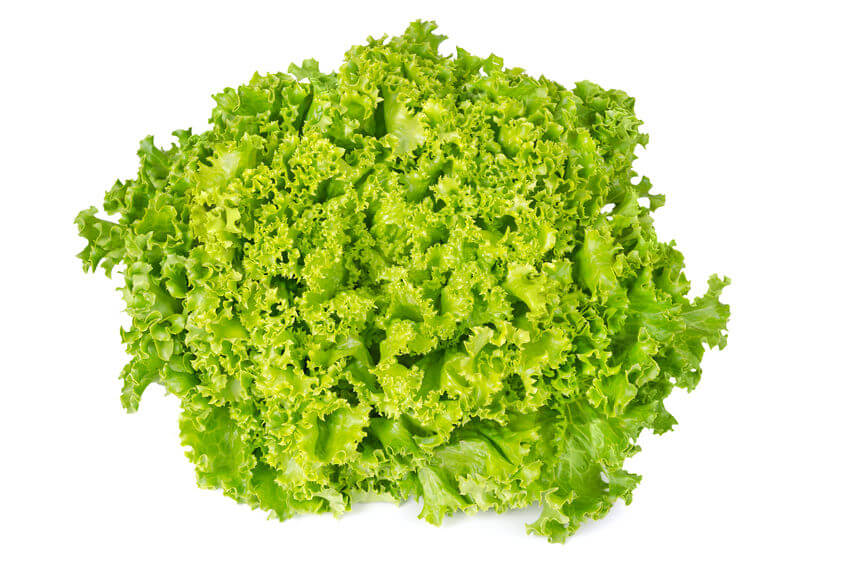 Lettuce Lollo Bionda Seeds