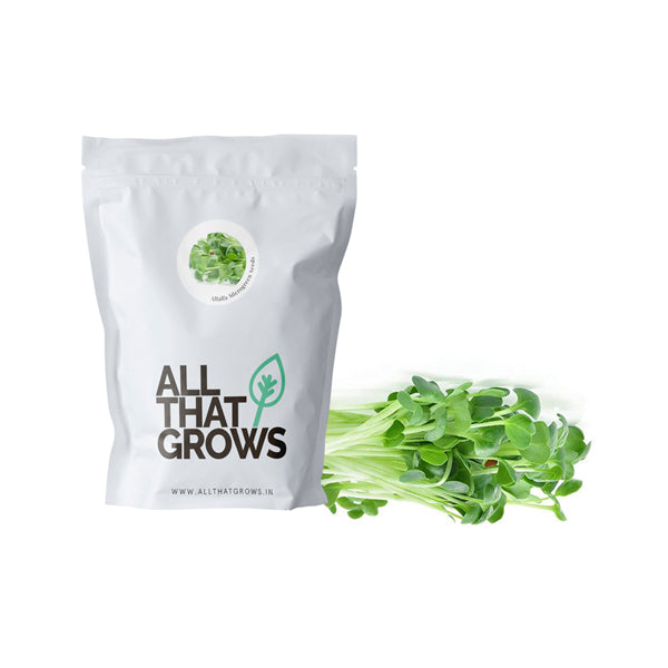 Alfalfa Microgreen Seeds