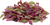 Amaranthus Red Microgreen Seeds