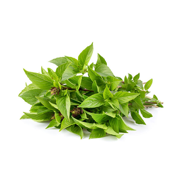 Shop Thai Basil Seeds Online Exotic Herb Seeds To Grow