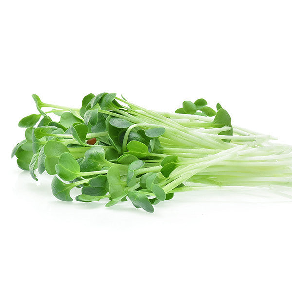 Alfalfa microgreen seeds