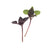 Basil Purple microgreen seeds