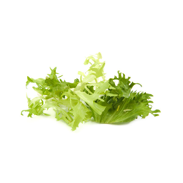 Curly Endive Baby Leaf Seeds | Best-Quality Non-hybrid Seeds