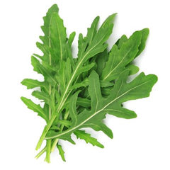 Buy Eruca Sativa (Arugula) Seeds Online at AllThatGrows